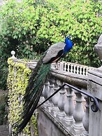 Le Manoir