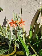 SAN GIACOMO I Apartamentos por temporada no Porto das Dunas