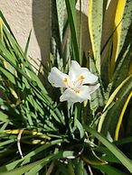 SAN GIACOMO I Apartamentos por temporada no Porto das Dunas