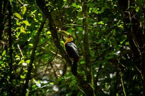 Estalagem Schmitt Haus