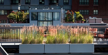 Boston Medical Suites at Garrison Square