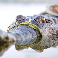 Kimberleyland Waterfront Holiday Park