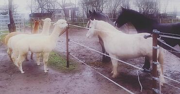 Naturhof Usedom