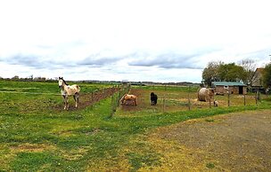 La Ferme Chauvet