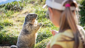 MGM Hôtels & Résidences – Résidence Alexane