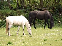 Une roulotte et des chevaux