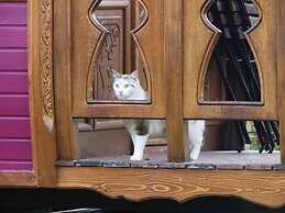 Une roulotte et des chevaux