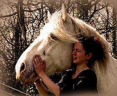 Une roulotte et des chevaux