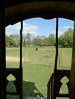 Une roulotte et des chevaux