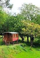 Une roulotte et des chevaux