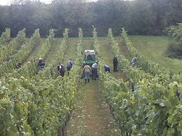 Weingut Seck