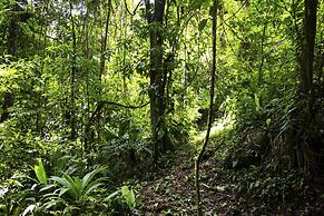 Casa Cedro - Portasol Vacation Rentals