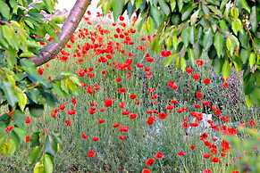 Studios Kostas & Despina