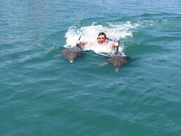 Jamaica Ocean View Villa