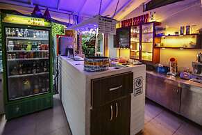 Cirali Zakkum Bungalow