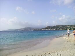 Springle's Quiet Place