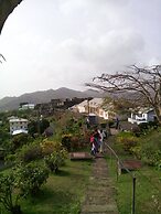 Springle's Quiet Place