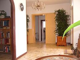 El Artista de Paraíso