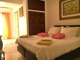 El Artista de Paraíso