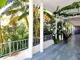 El Artista de Paraíso