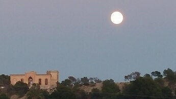 El Artista de Paraíso