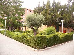 El Artista de Paraíso