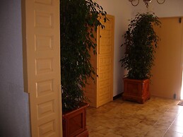 El Artista de Paraíso