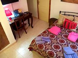 El Artista de Paraíso