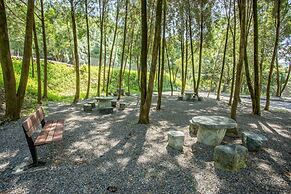 Baishengcun Coffee Farm