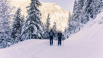 Chalet Alpen Valley, Mont-Blanc