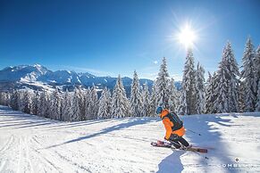 Chalet Alpen Valley, Mont-Blanc