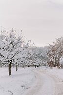Wanderreitstation Gut Mischenried