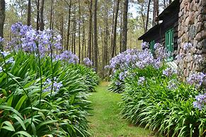 Villa Pajon Eco Lodge