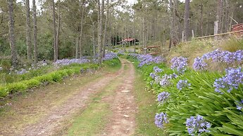 Villa Pajon Eco Lodge