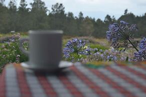 Villa Pajon Eco Lodge