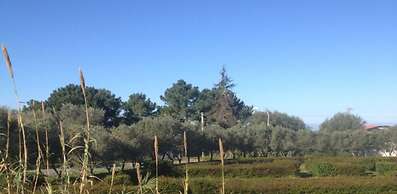 Feudo di Villa Anticaglia