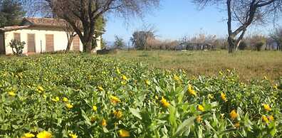 Feudo di Villa Anticaglia