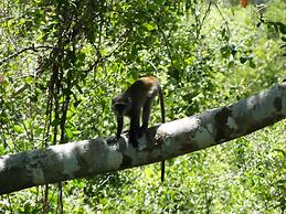 Wami River Bush Retreat - Kisampa