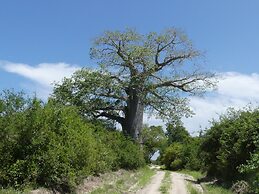 Wami River Bush Retreat - Kisampa