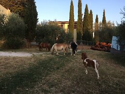 Agriturismo Podere Sottogello