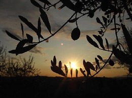 Agriturismo Podere Sottogello