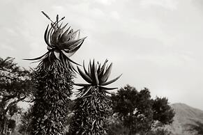 Twin Thorns Guesthouse