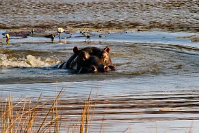 Twin Thorns Guesthouse