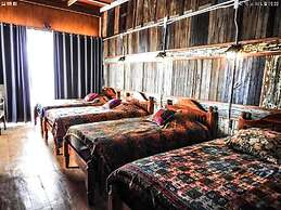 Coffee&Homestay568 Branch 2