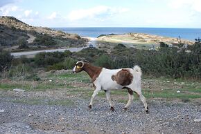 Hera Kyrenia Gardens