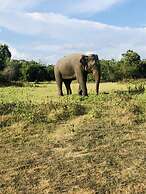 Sigiriya Nature Villa Lodge