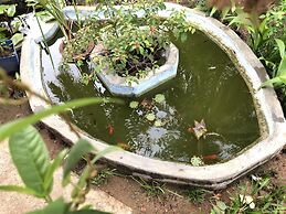 Sigiriya Nature Villa Lodge