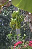 Sigiriya Nature Villa Lodge