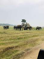 Sigiriya Nature Villa Lodge