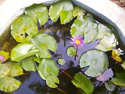 Sigiriya Nature Villa Lodge